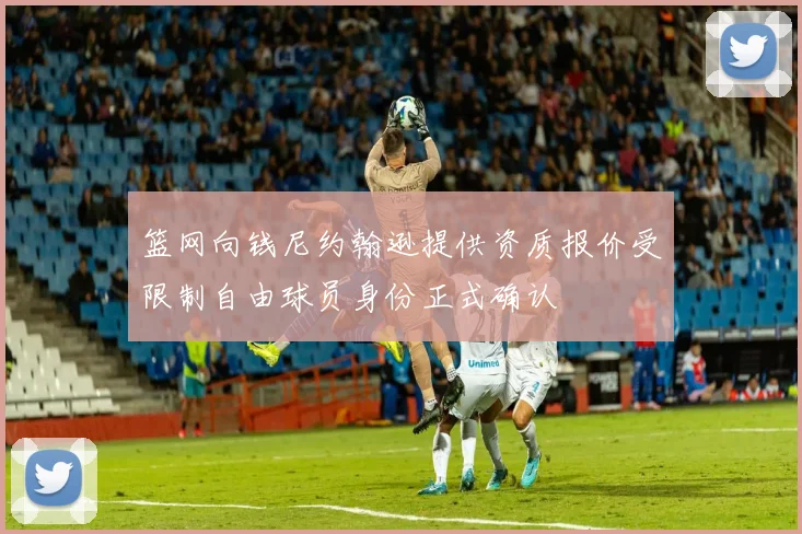篮网向钱尼约翰逊提供资质报价受限制自由球员身份正式确认